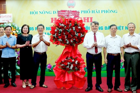 Hơn 252.000 hộ nông dân ở Hải Phòng đăng ký danh hiệu sản xuất, kinh doanh giỏi