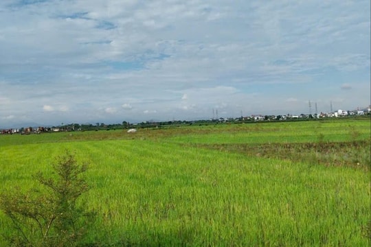 Ưu tiên giải phóng mặt bằng thực hiện dự án khu, cụm công nghiệp