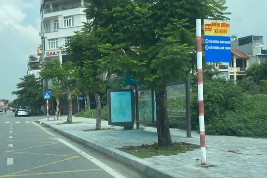 Nhiều điểm chờ xe buýt không có đường cho người khuyết tật