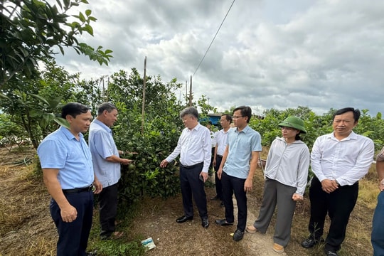 Hội Nông dân thành phố phát huy vai trò nòng cốt xây dựng nông thôn mới