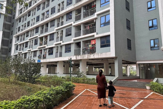 Hà Nội tiếp tục mở bán loạt nhà xã hội giá 18,4 triệu đồng/m2