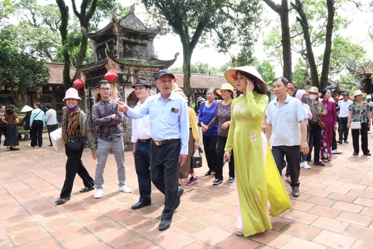 Những bông hồng 'đa-zi-năng'