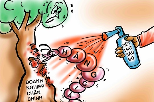 Diệt trừ 'sâu mọt' hàng giả để doanh nghiệp chân chính vươn lên