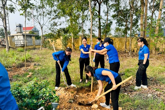 Tuổi trẻ phường Chí Linh lan tỏa tinh thần tình nguyện vì cộng đồng