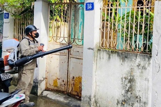 14 ổ dịch sốt xuất huyết đang hoạt động