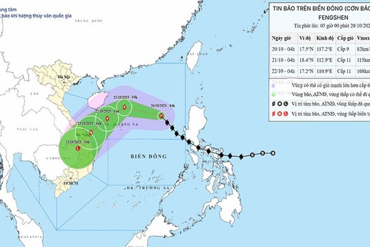 Hải Phòng kích hoạt biện pháp ứng phó bão số 12