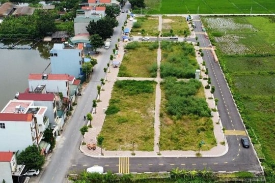 Chặn nạn trúng đấu giá đất rồi bỏ cọc