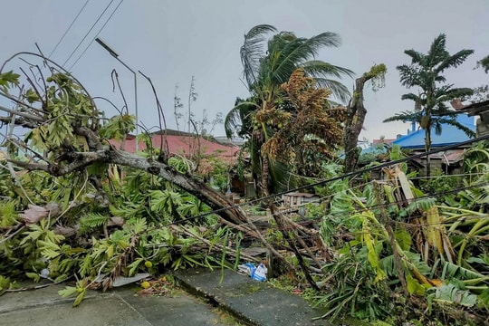 Philippines: Ít nhất 7 người thiệt mạng do bão Fengshen