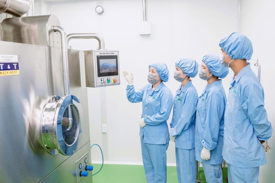 Chiến lược quốc gia về phát triển đội ngũ trí thức đến năm 2030, tầm nhìn đến năm 2045