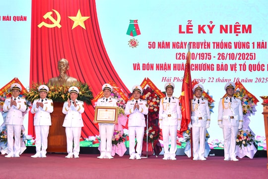 Navy Region 1 Command receives first-class Fatherland Protection Order