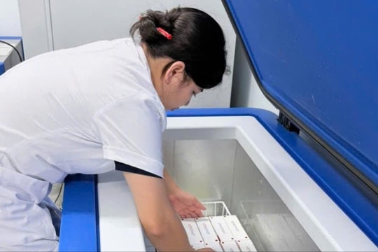 WHO hỗ trợ 9.000 liều vaccine phòng dại cho hai tỉnh có nguy cơ cao tại Việt Nam