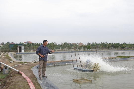Nguồn nước ô nhiễm, khó cho nuôi thủy sản