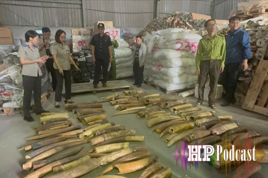 Bản tin 5 phút an ninh trật tự ngày 25/10/2025