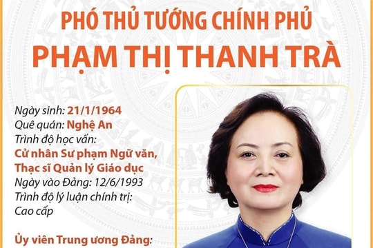 Chân dung bà Phạm Thị Thanh Trà - nữ Phó Thủ tướng đầu tiên của Việt Nam