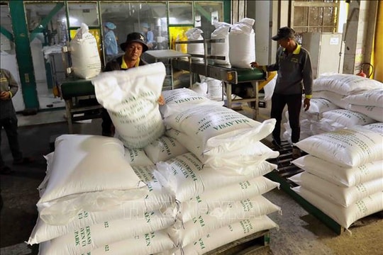Việt Nam xuất khẩu được hơn 7 triệu tấn gạo trong năm 2025