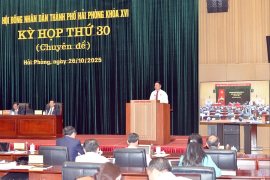 Hỗ trợ thù lao cho lao động ngoài biên chế tại các hội sau sắp xếp