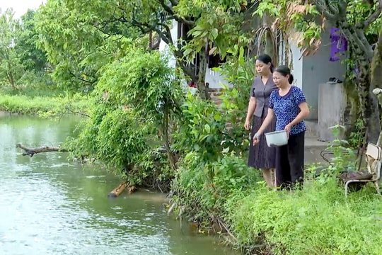 Hội Nông dân xã Cẩm Giang phấn đấu mỗi năm 50% số hộ hội viên đạt danh hiệu sản xuất, kinh doanh giỏi