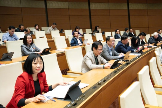 Đại biểu Quốc hội thảo luận về chuyện viên chức 'chân trong, chân ngoài'