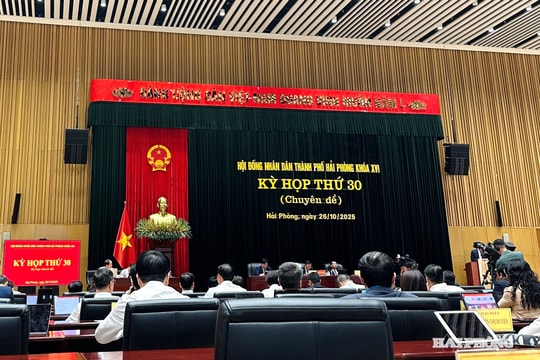 Cơ cấu, thành phần người được giới thiệu ứng cử đại biểu Hội đồng nhân dân