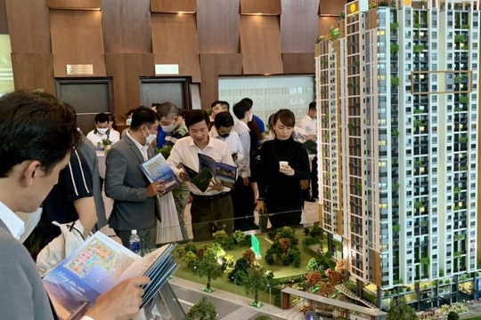 Người dân Hải Phòng sớm phải cung cấp số lượng sở hữu bất động sản?
