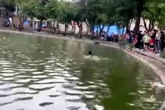 Làm rõ thông tin người phụ nữ bị đuối nước tại hồ Hoàn Kiếm
