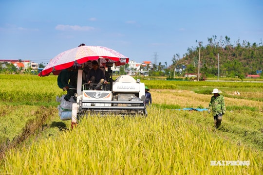 Ngành Nông nghiệp và Môi trường xác định 4 đột phá chiến lược