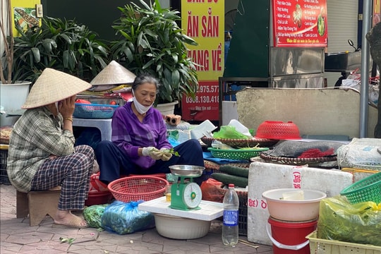 Hải Phòng bảo đảm an sinh cho người cao tuổi