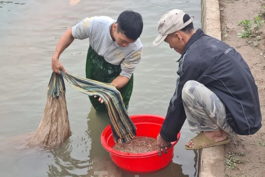 Những đơn vị tiêu biểu phát triển kinh tế tập thể của Hải Phòng