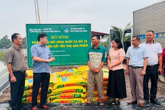 Quy định đơn vị sự nghiệp công lập khuyến nông cấp tỉnh, cấp xã