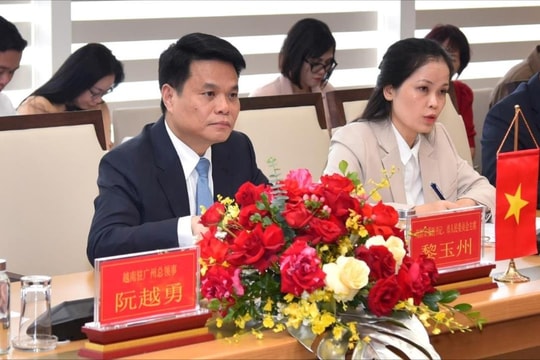 Tăng cường hợp tác giữa thành phố Hải Phòng với tỉnh Quảng Đông (Trung Quốc)