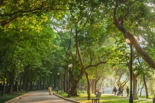 Tìm lại tuổi mười lăm