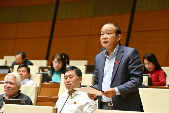 Đại biểu Quốc hội Hải Phòng hiến kế phát triển kinh tế tư nhân, bảo vệ môi trường, chống thiên tai