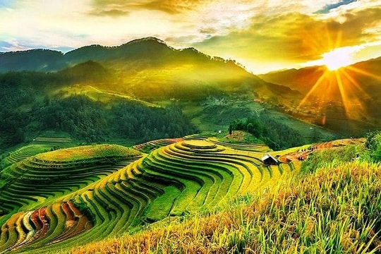 Ruộng bậc thang