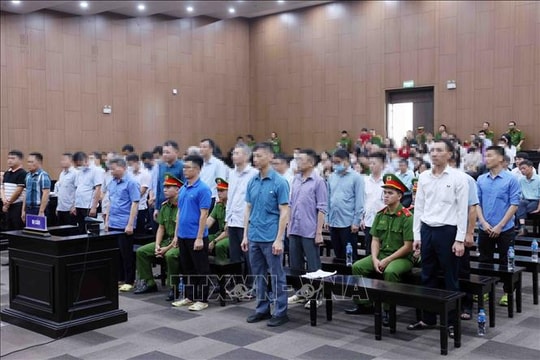 17 bị cáo trong vụ Tập đoàn Thuận An kháng cáo xin giảm nhẹ hình phạt