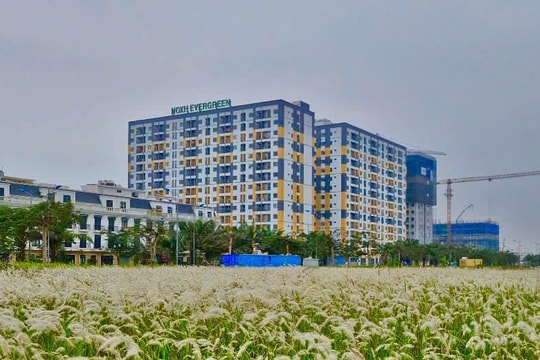 Hai Phong accelerates social housing construction