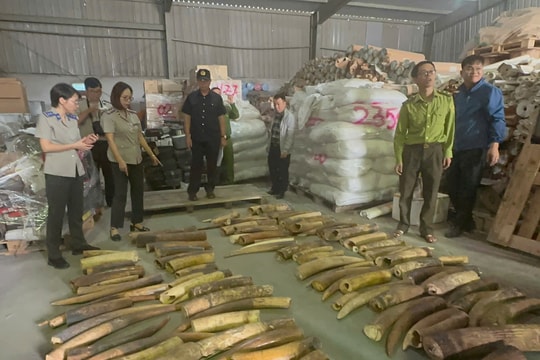 Ngăn chặn buôn bán động vật hoang dã quý hiếm, nguy cấp