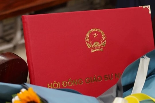 Hải Phòng xếp thứ 3 tốp địa phương có ứng viên giáo sư, phó giáo sư nhiều nhất cả nước