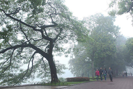 Một sớm mùa đông…