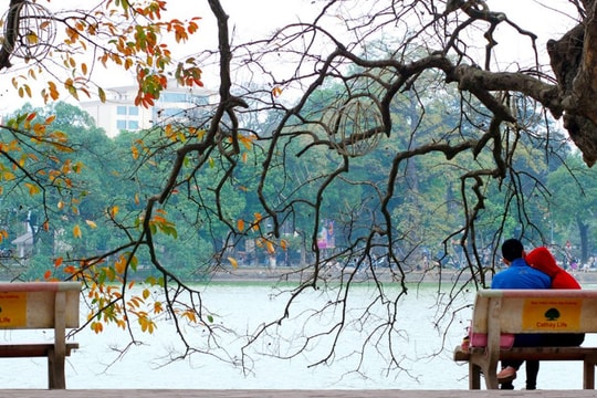 Yêu ngày chớm đông