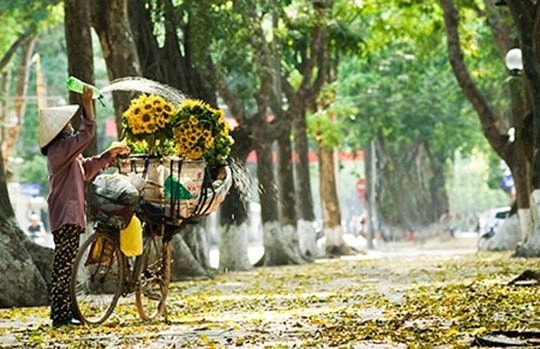 Đi qua những ngày thu