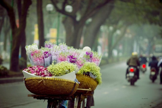 Tháng mười một về