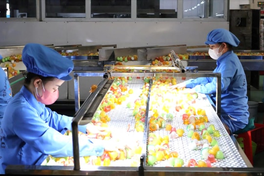 Công nghiệp Hải Phòng tăng tốc, IIP 10 tháng tăng hơn 15%
