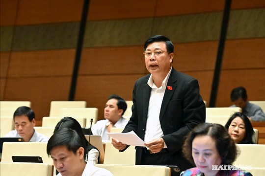 Đại biểu Quốc hội thành phố Hải Phòng góp ý hoàn thiện dự thảo Luật An ninh mạng