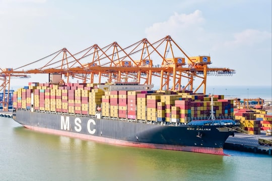 Hai Phong seaports bustle in year-end months