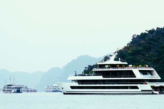 Hai Phong promotes cruise tourism