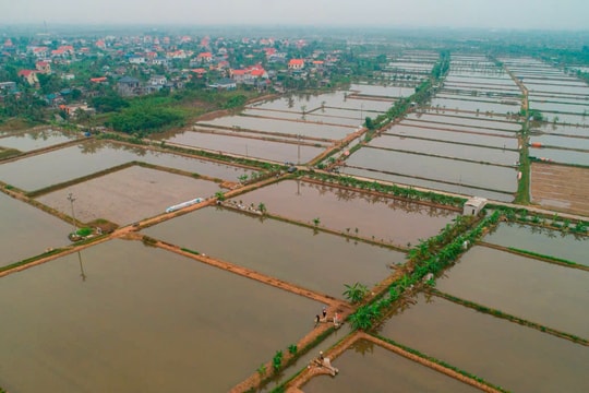 Chuyển đổi tư duy sản xuất nông nghiệp xanh, sạch