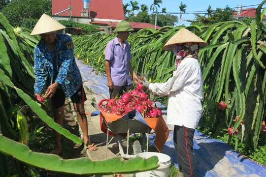 Đồng hành nông dân làm giàu