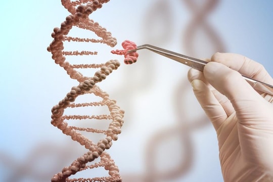 Liệu pháp chỉnh sửa gene giúp giảm 50% lượng cholesterol 'xấu'
