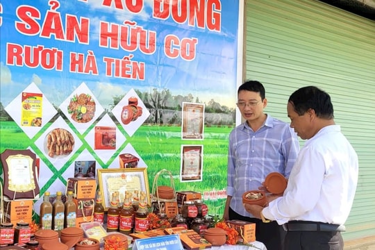 Điểm sáng kinh tế tập thể