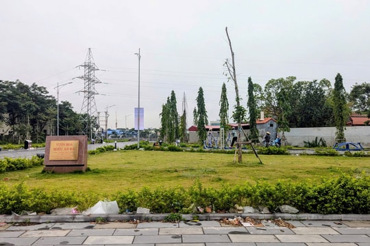 Khai thác, vận hành hiệu quả các công viên, vườn hoa